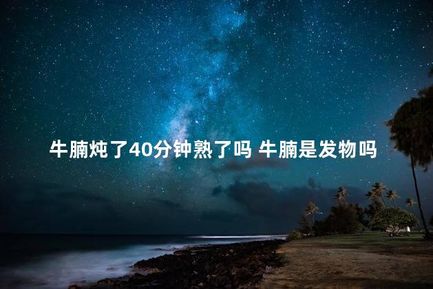 牛腩炖了40分钟熟了吗 牛腩是发物吗